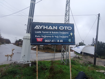 Ayhan Oto Lastik işletme görseli