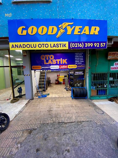 Anadolu Oto Lastik işletme görseli