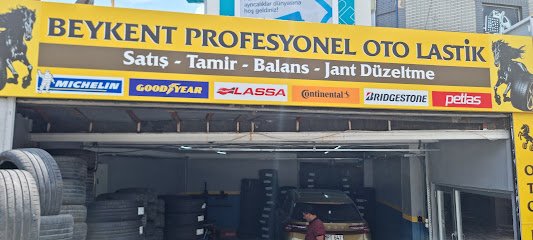 beykent profesyonel oto lastik işletme görseli